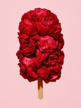 Red Rose Ice Pop with Large Open Rose Heads on Pale Pink Background