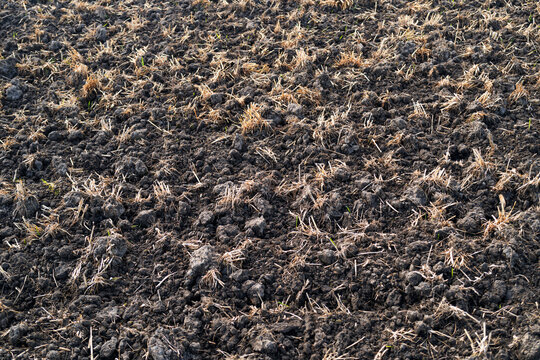 Fertile soil enriches cultivated fields. Dark fertile soil supports agriculture. Fertile soil creates natural background. Crop stubble covers fertile soil evenly.