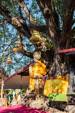 THAILAND MAHA SARAKHAM WAT PHUTTHA MONGKOL BUDDHA