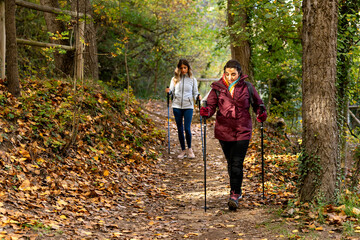 Fototapeta premium Women enjoying nordic walking in autumn forest, promoting health and friendship