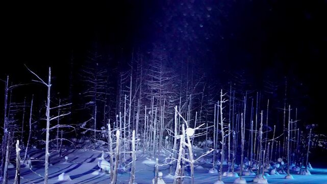 北海道　美瑛青い池ライトアップ