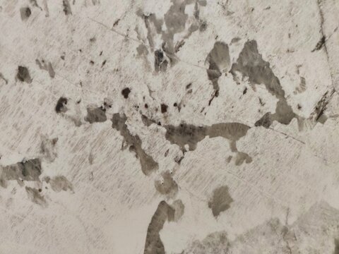 Close-up of luxury white granite stone texture with natural gray veins.
