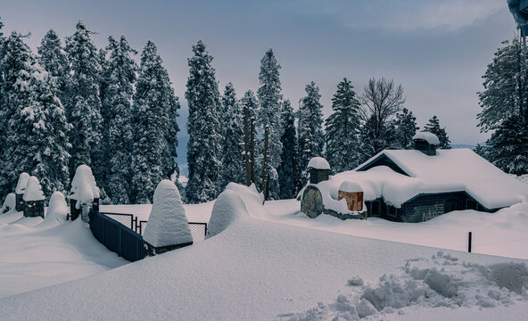View of a snow-covered cottage nestled among tall pine trees during a heavy winter snowfall in Murree, Punjab, Pakistan.