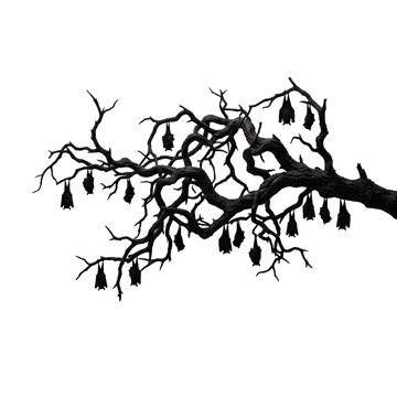 Spooky gnarled tree branch with sleeping bats hanging