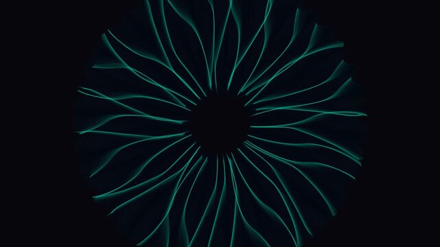 Abstract cyan wave lines forming radial flower pattern on black background dynamic.