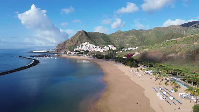 palms at highly popular beach las Teresitas, Tenerife, Spain