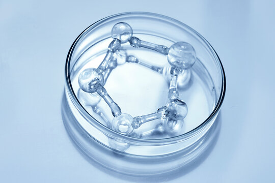 Glass molecule structure inside petri dish representing science