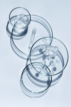 Scientific research with petri dishes, molecule model, and gel