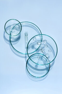 Science concept with petri dishes and molecule model