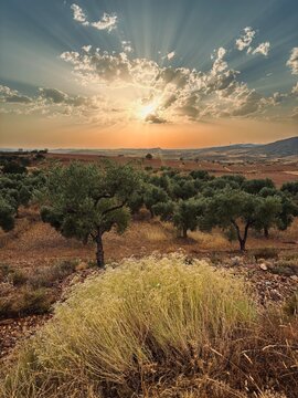 Sierra de Arcos