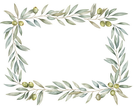 Watercolor painting of an olive branch frame with green olives and leaves on transparent background