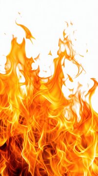 Bright orange and yellow flames flicker and dance against a white background, showcasing dynamic fire textures and movement.