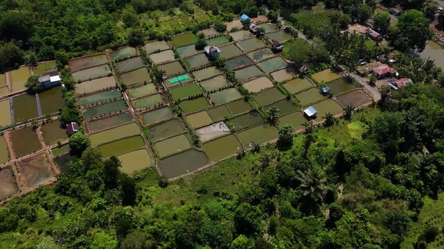 Aerial view of fish ponds in Karang Intan surrounded by lush tropical vegetation and trees in Karang Intan, South Kalimantan, Indonesia.