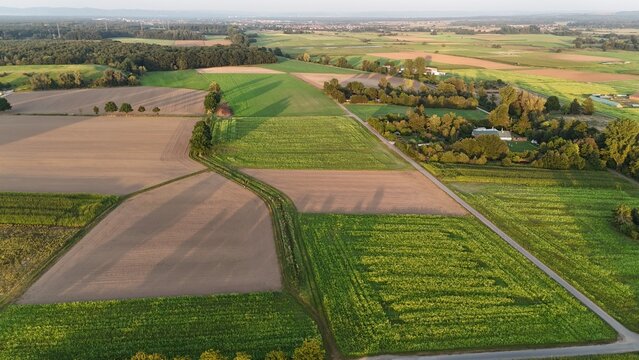 Landschaft bei M&uuml;nster in Hessen