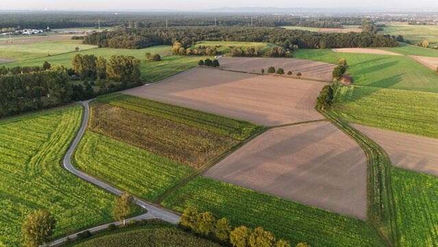 Landschaft bei M&uuml;nster in Hessen