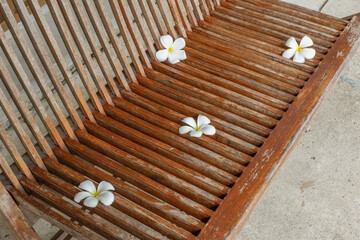 Wooden table and chair and frangipani flowers in restaurant, outdoor cafe scandinavian style,Rattan detailed craftsmanship and pattern,summer beach concept. © wanatithan