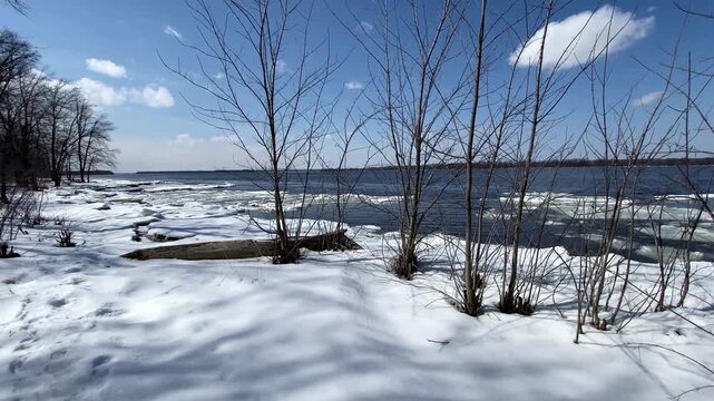 Snow-covered riverbank with bare trees and melting ice floes floating along the open blue water under a clear sunny sky.