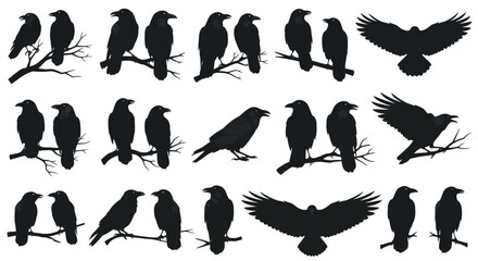 Obraz premium Black crow silhouette collection, raven bird vector set, flying and perched crows on branches, dark gothic wildlife icons