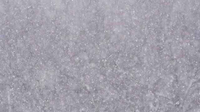 Blizzard - Heavy Snow Storm detail in SLOW MOTION HD VIDEO. Wild falling snowflakes in the wind. Low depth of field and blurred trees in the background. Close-up. Quarter speed.