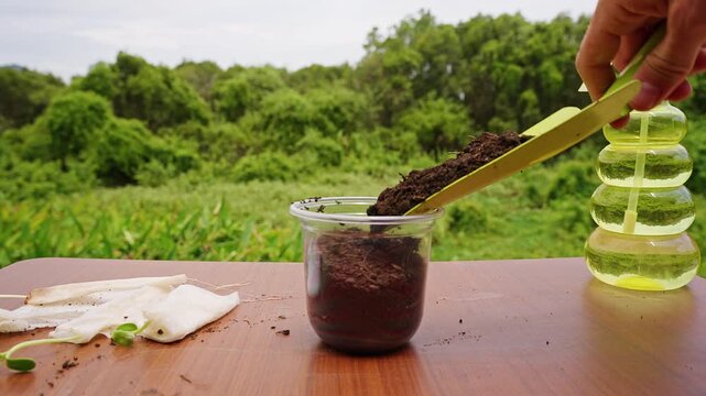 Hand Fills a Clear Plastic Cup With Potting Soil Outdoors, Beside a Spray Bottle and Seedlings for Garden Care and Growth
