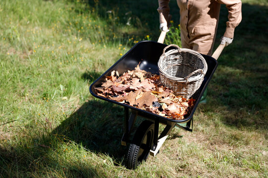 Close-up of person doing garden maintenance and planting &ndash; gardening work concept. Gardening, landscaping, sustainability, healthy lifestyle, seasonal outdoor work concepts.
