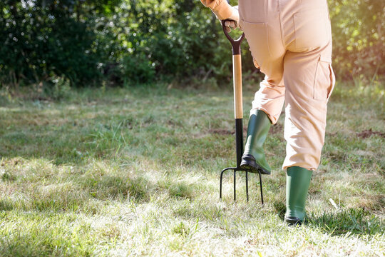 Close-up of person doing garden maintenance and planting &ndash; gardening work concept. Gardening, landscaping, sustainability, healthy lifestyle, seasonal outdoor work concepts.