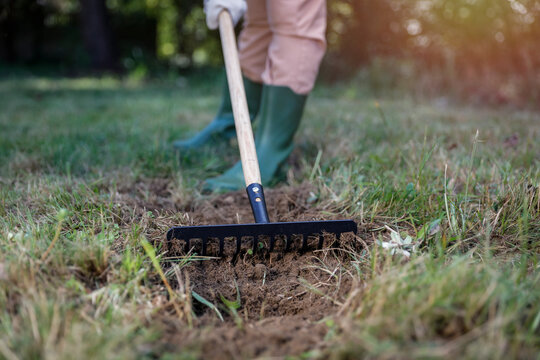 Close-up of person doing garden maintenance and planting &ndash; gardening work concept. Gardening, landscaping, sustainability, healthy lifestyle, seasonal outdoor work concepts.