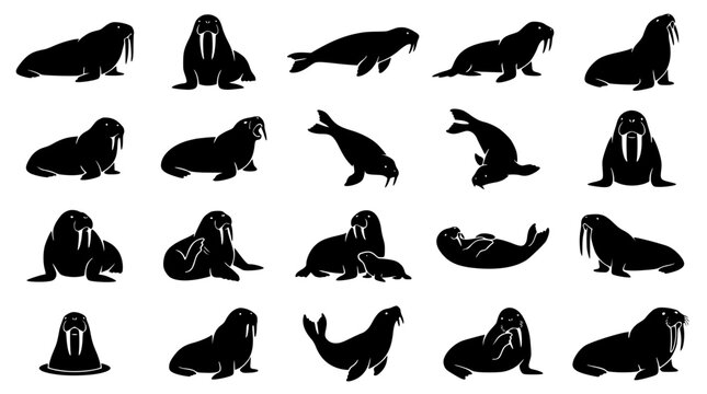 Walrus Tusk Animal Silhouette Modern Vector Icon Collection