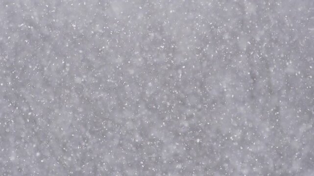 Blizzard - Heavy Snow Storm detail in SLOW MOTION HD VIDEO. Wild falling snowflakes in the wind. Low depth of field and blurred trees in the background. Close-up. Quarter speed.