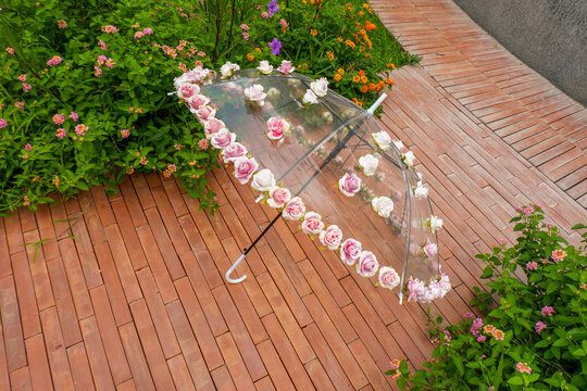 Beautiful Umbrella with flowers in the garden,rain and sun weather on a warm autumn or sumemr day,umbrella under heavy fall shower,Stormy rainy weather season concept.