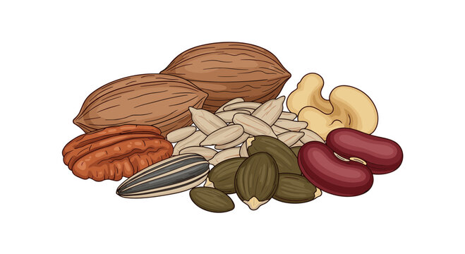 Detailed illustration of a pile of mixed nuts and seeds including pecans, sunflower seeds, and beans.