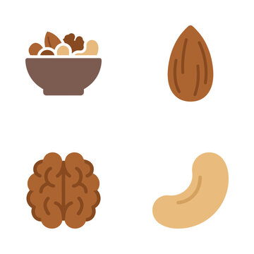 Nut selection featuring a bowl of mixed nuts, an almond, a walnut kernel, and a cashew displayed as clean vector graphics.