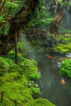 Tranquil river scene with mossy rocks and morning mist in forest,dreamlike atmosphere in the woods,waterfall in nature rainforest concept.