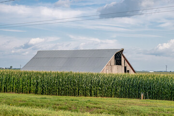 midwestern barn © mark