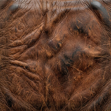 Close up of distressed brown leather texture with natural wrinkles and imperfections