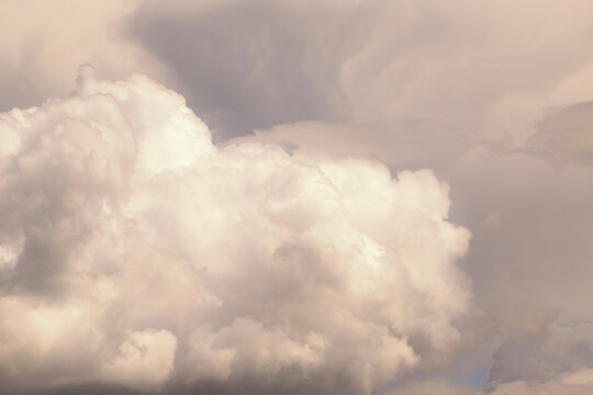 Soft pastel toned fluffy cumulus clouds in a moody atmospheric sky.