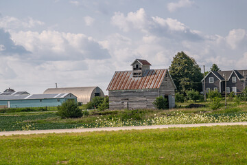 midwestern barn © mark