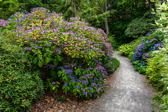 South Seattle Garden Walkway 7