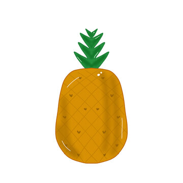 pineapple fruit vector illustration