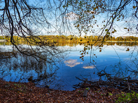 Herbstliche B&auml;ume am Plauer See in der Stadt Plau am See