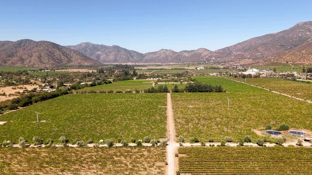 Panoramic aerial view of vast green vineyard fields and agricultural plantation surrounded by mountains under clear blue sky