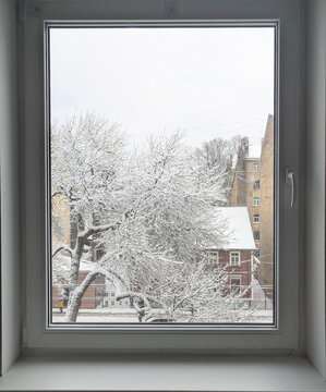Winter city view from the window with snowy trees and buildings