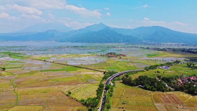 Aerial view of a road winding through lush green rice fields with mountains in the background under a clear blue sky in Semarang, Central Java, Indonesia.