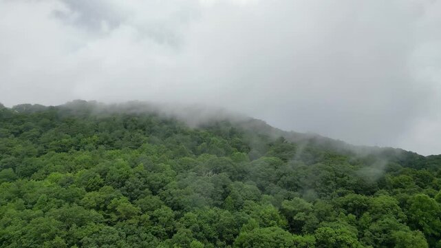 Aerial view flying over lush green mountains and low drifting clouds near Cherokee, North Carolina, with dense forest and atmospheric mist.