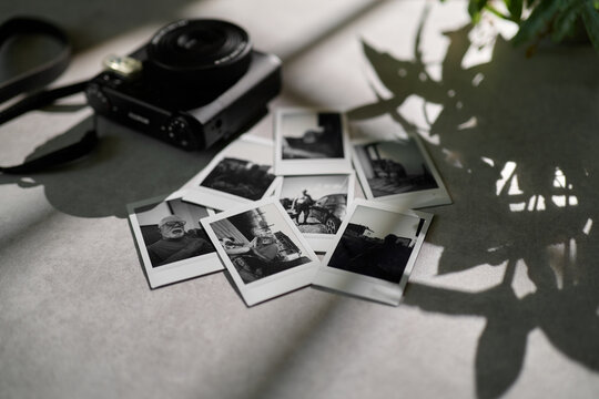 Old photos lie on a table with a camera nearby, soft shadows from a plant fall over the scene