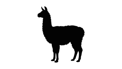 Naklejka premium Llama Silhouette Vector Illustration