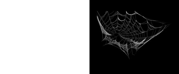 Spooky spiderweb on black background, creepy spider web texture, halloween design element © PNG