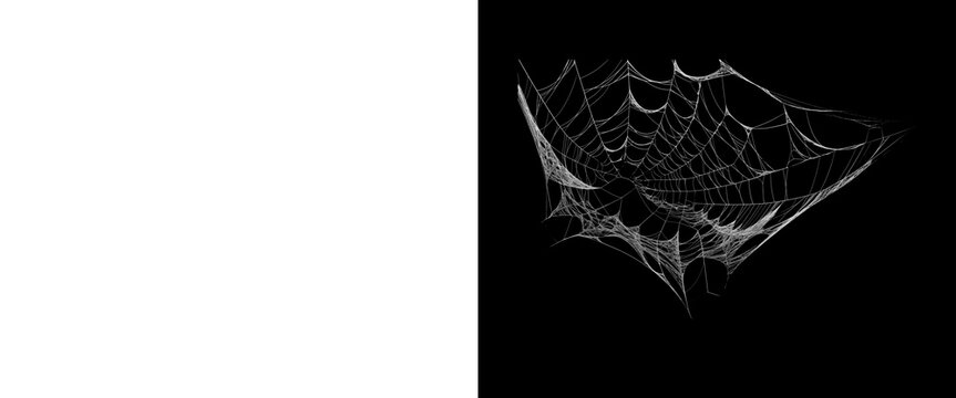 Spooky spiderweb on black background, creepy spider web texture, halloween design element