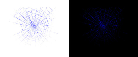 Fototapeta premium Glow-in-the-dark blue spiderweb on black and white backgrounds, spooky neon spider web design elements, Halloween decorative graphic assets