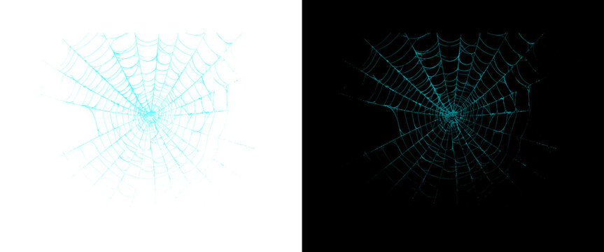 Cyan spider web graphic set, glowing neon cobweb elements on black and white backgrounds, spooky Halloween design assets